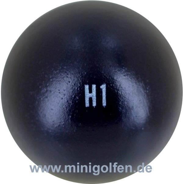 B&M H1
