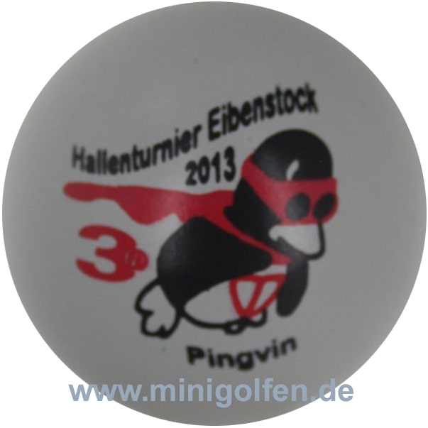 3D Pingvin Hallenturnier Eibenstock 2013