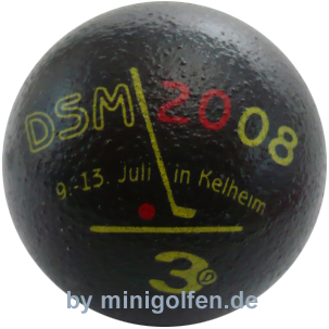 3D DSM 2008 Kelheim