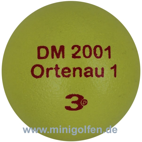 3D DM 2001 Ortenau 1
