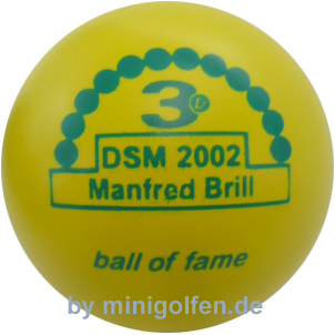 3D BoF DSM 2002 Manfred Brill