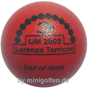 3D BoF IJM 2002 Lorenzo Torricini
