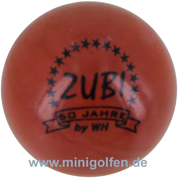 wh-size 50 Jahre ZUBI