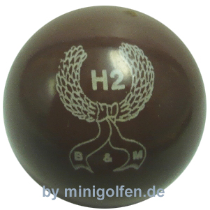 B&M H2