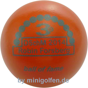3D BoF DSchM 2014 Robin Forsberg