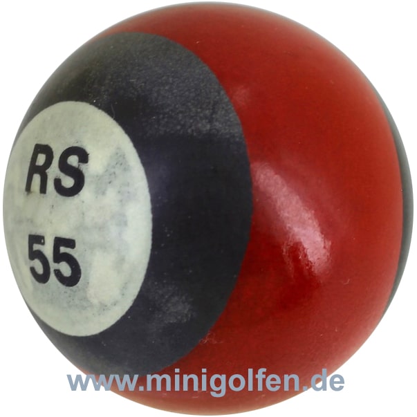 Reisinger RS 55