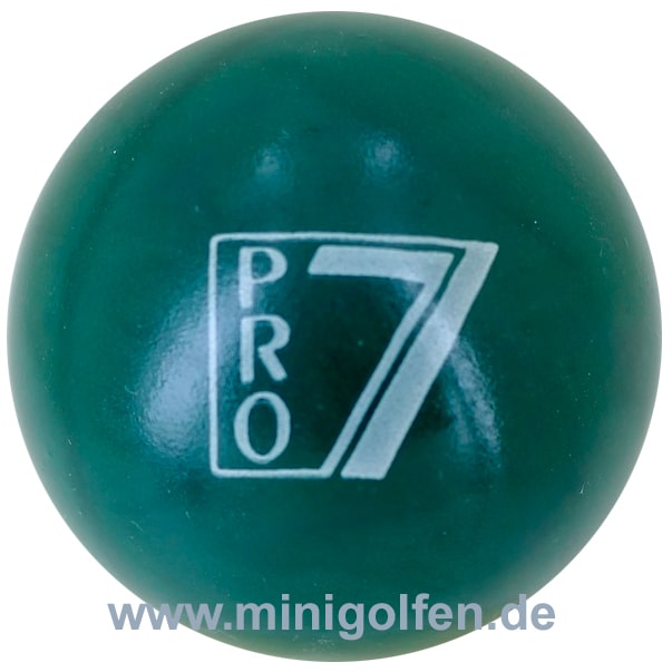 Wagner Satelliten PRO 7