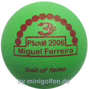 3D BoF PSchM 2006 Miguel Ferreira
