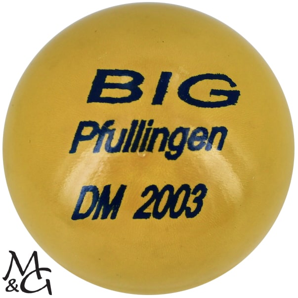 M&G BIG Pfullingem DM 2003