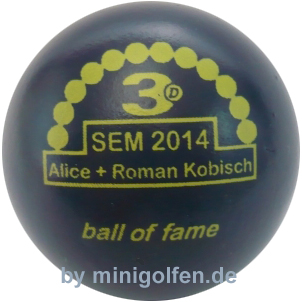 3D BoF SEM 2014 Alice + Roman Kobisch