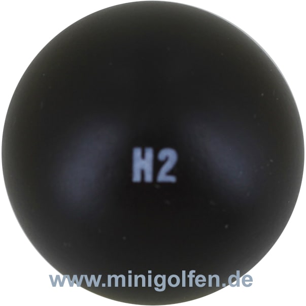 Wagner H2