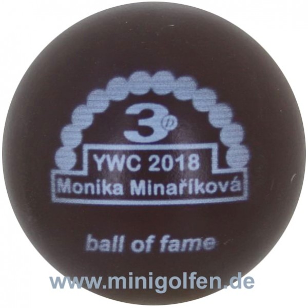 3D BoF YWC 2018 Monika Minarikova