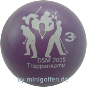 3D DSM 2015 Trappenkamp