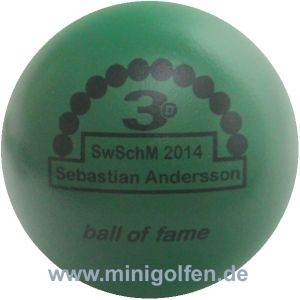 3D BoF SwSchM 2014 Sebastian Andersson