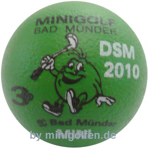 3D DSM 2010 Bad Münder Mini
