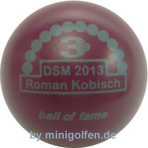 3D BoF DSM 2013 Roman Kobisch