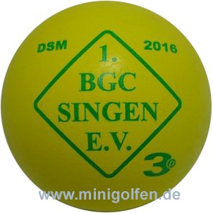 3D DSM 2016 1 BGC Singen