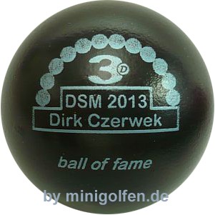 3D BoF DSM 2013 Dirk Czerwek