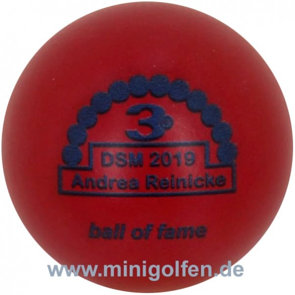 3D BoF DSM 2019 Andrea Reinicke