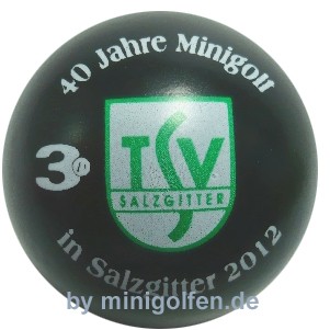 3D 40 Jahre TSV Salzgitter