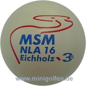 3D MSM NLA 2016 Eichholz