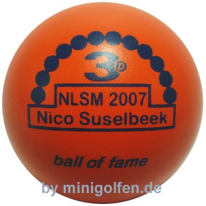 3D BoF NlSM 2007 Nico Suselbeek
